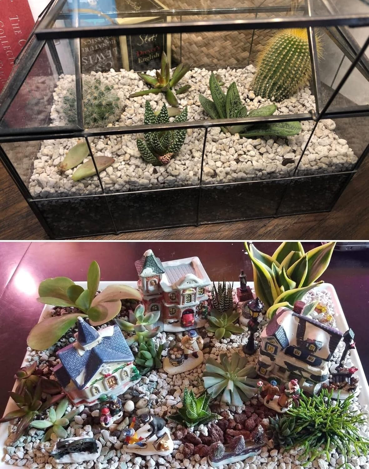 20QT Premium Horticultural Pumice for Succulents & Cactus - Natural Drainage