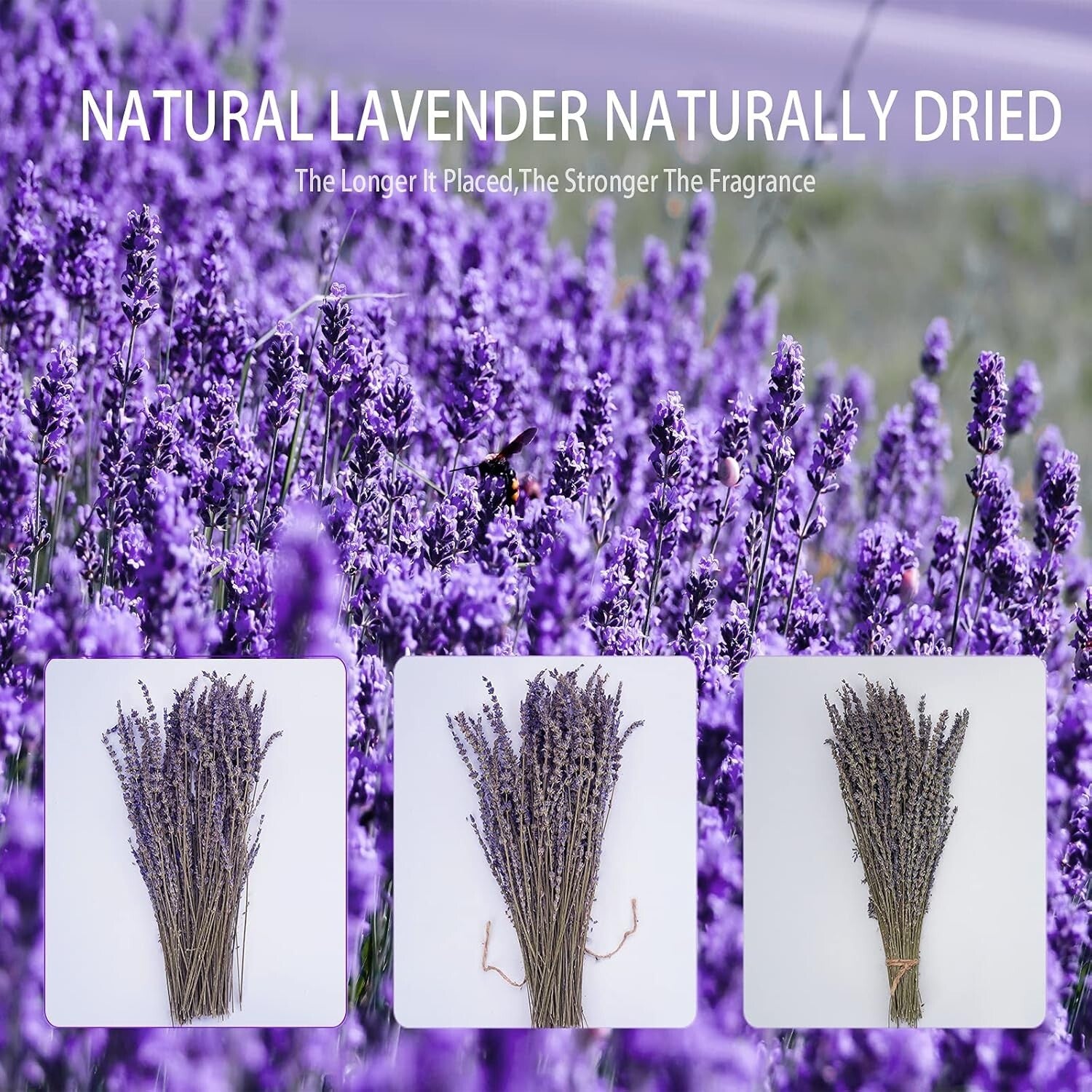 Natural Dried Flowers Set: 8 Bundles, 1200 Stems, Aromatic Lavender - Home Decor