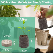 Load image into Gallery viewer, 500 Pcs 30mm Peat Pellets Seed Starter Pods - Ideal for Herbs and Vegetables