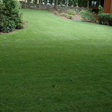 Load image into Gallery viewer, OptiGrowth Coated SPF-30 Bluegrass Mix - 10 lbs for Lush, Low-Maintenance Lawns