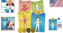 Load image into Gallery viewer, Learn Body Parts and Muscles with Interactive Talking Anatomy Poster for Kids