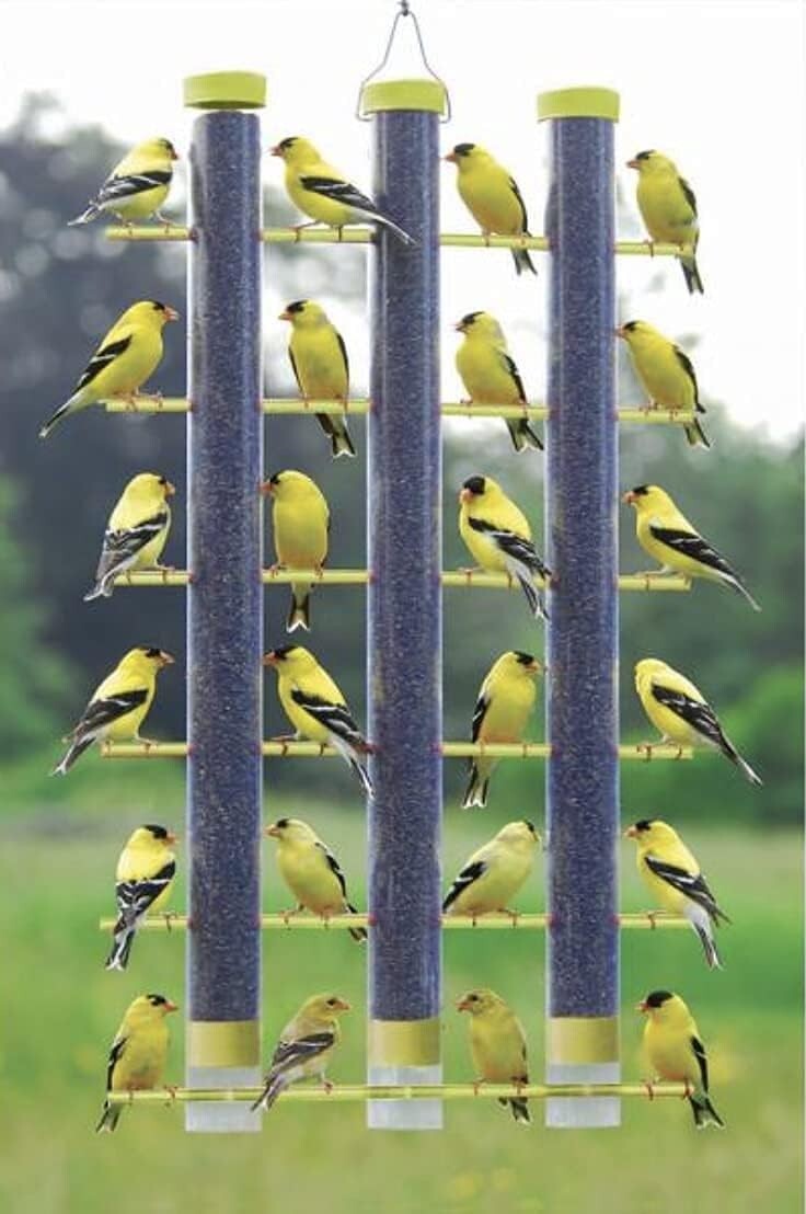 Heavy-Duty 3 Tube Finch Feeder with 24 Feeding Perches - Durable and Easy Clean