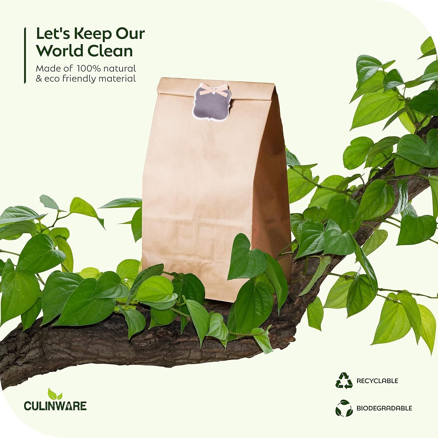 Eco-Friendly 5lb Kraft Paper Bags: Perfect for Lunch, Bakery Treats & Parties