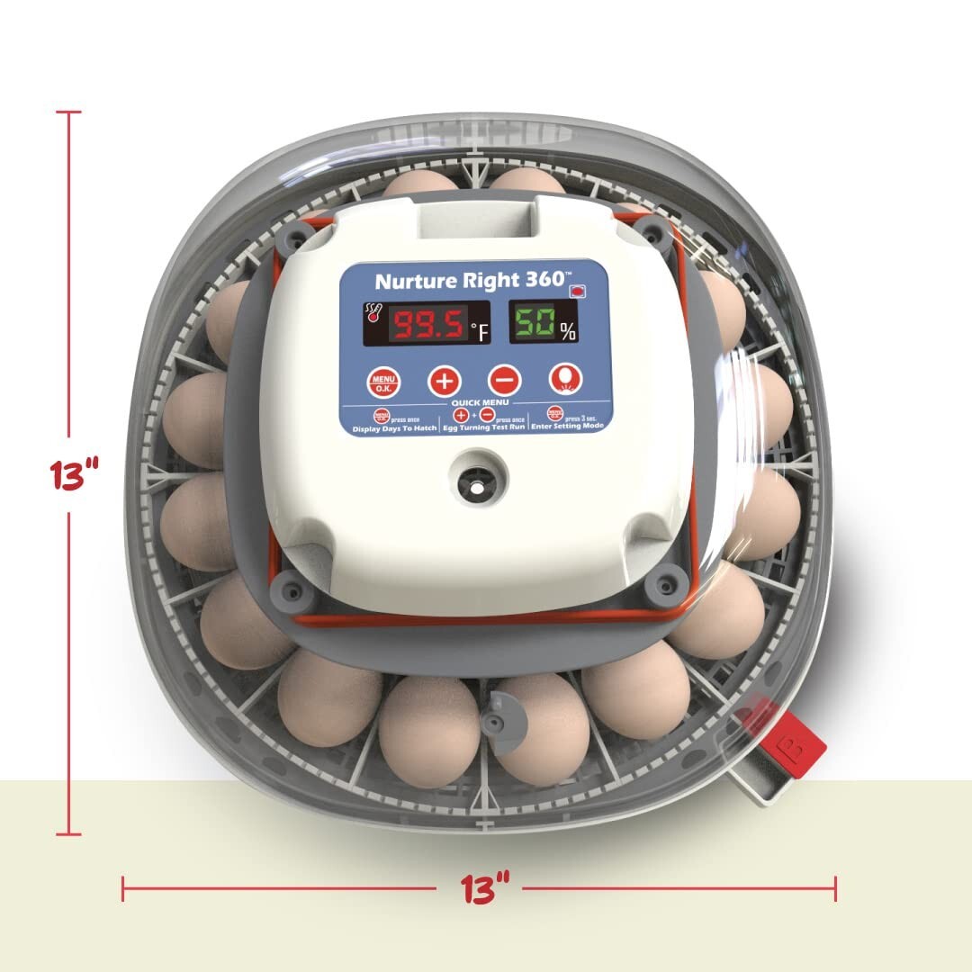Automatic Egg Incubator for Chickens & Ducks - Holds 12-22 Eggs with 360° View
