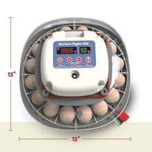 Load image into Gallery viewer, Automatic Egg Incubator for Chickens &amp; Ducks - Holds 12-22 Eggs with 360° View