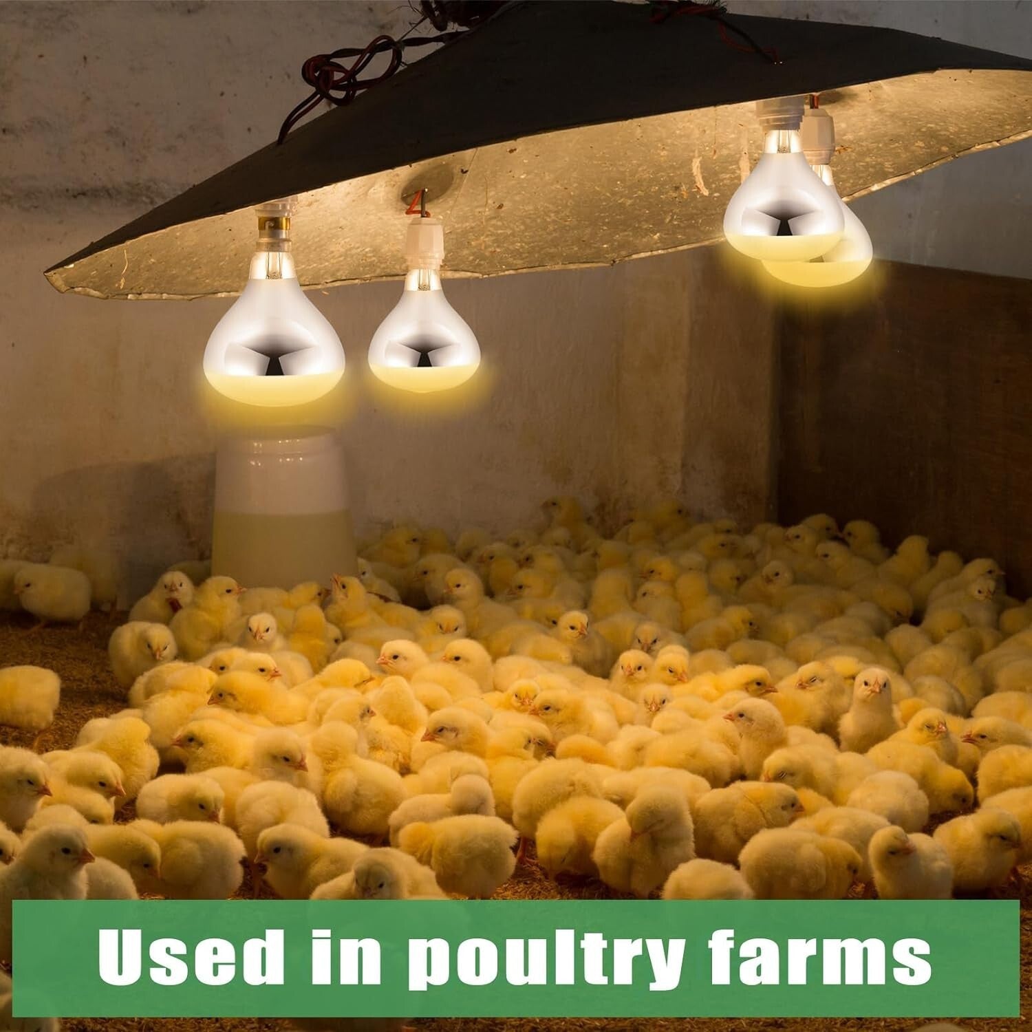 Durable 250 Watt Heat Lamp Bulbs - 10 Pack for Optimal Pet Heating Solutions