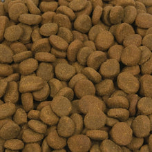Load image into Gallery viewer, Premium 25 lb Biologically Appropriate Dog Food - Regionally Sourced Ingredients