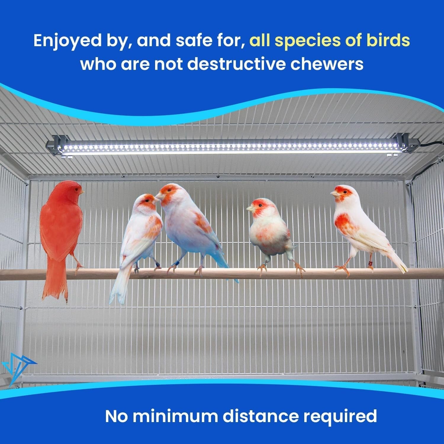 Economical Full Spectrum Bird Cage Light - Enhances Natural Living Environment
