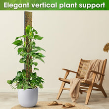 Load image into Gallery viewer, 59'' D-Shape Moss Pole for Climbing Plants - Durable Indoor Plant Support
