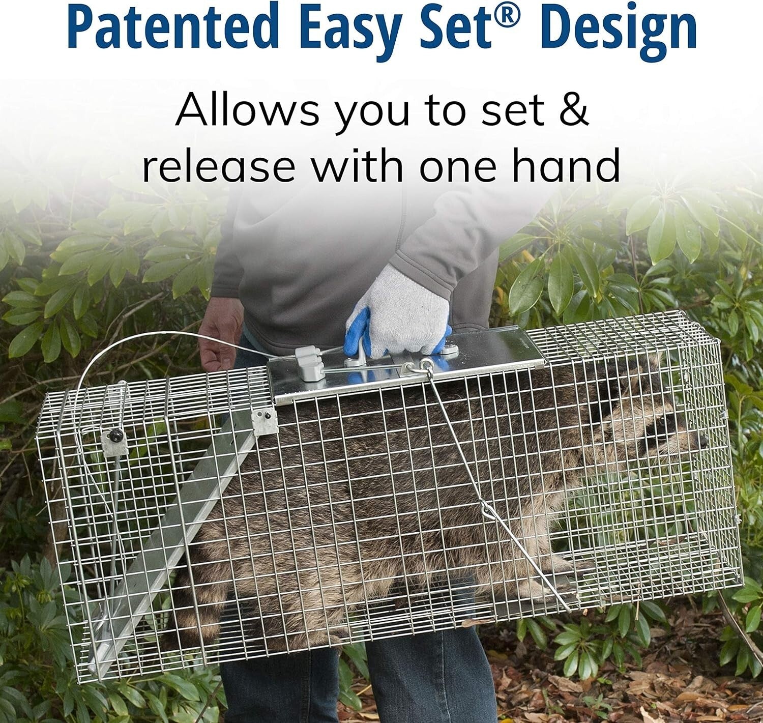 Efficient Large 1-Door Animal Trap for Armadillos, Cats & Raccoons - Easy Set