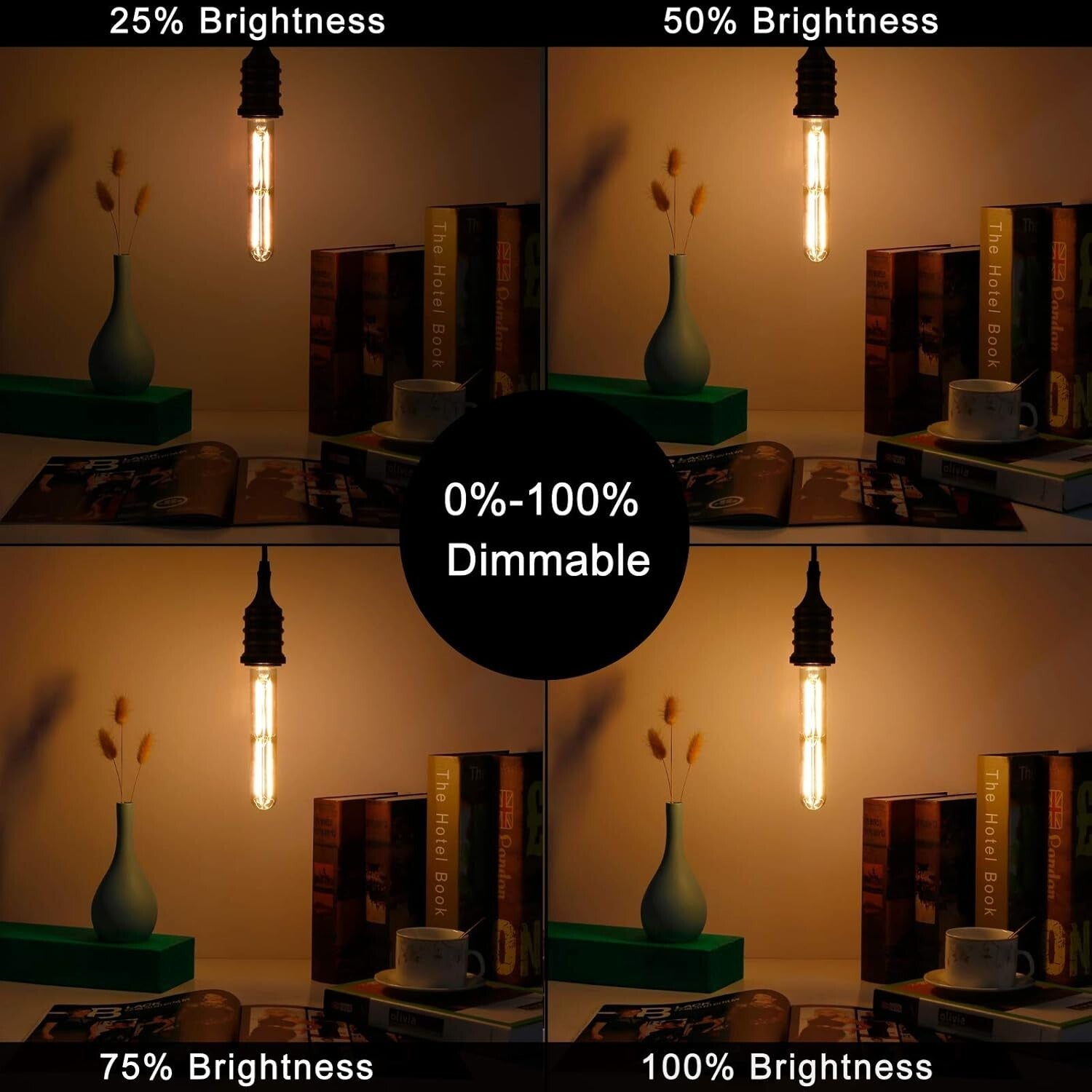 E26 Dimmable LED Bulb 6W, 450lm Warm White 2200K Vintage Edison Style, 6-Pack