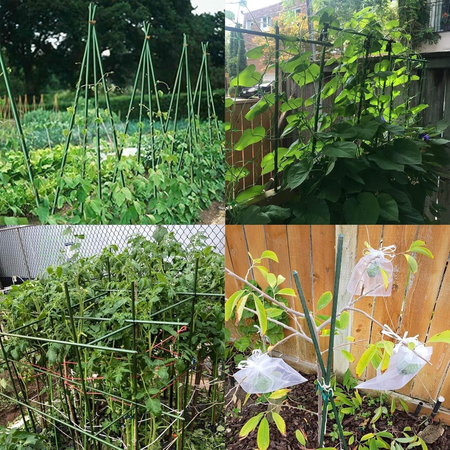 26 Durable Plastic-Coated Plant Support Stakes - Ideal Trellis for Vegetables