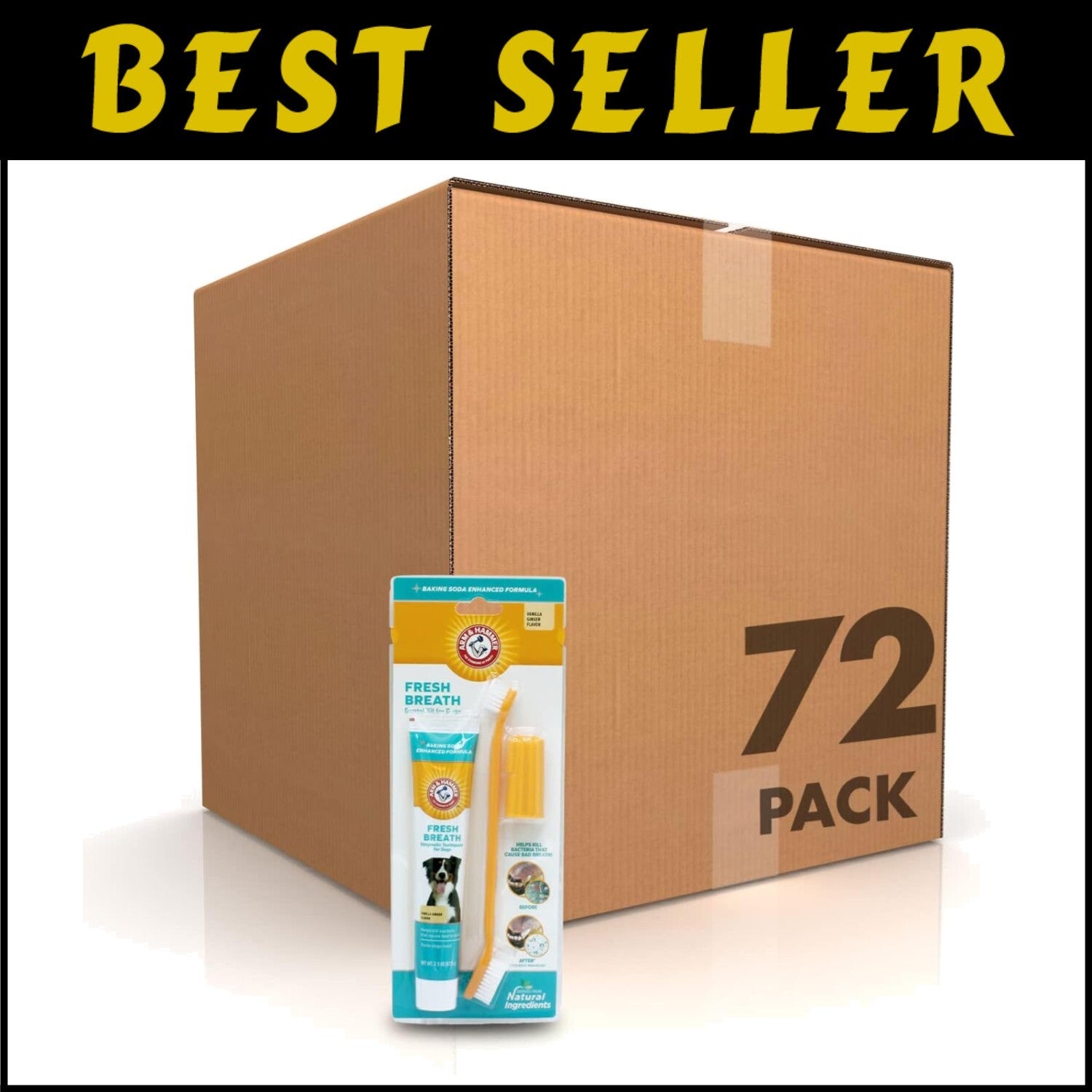 Complete Dog Dental Care Set - 72-Pack Toothpaste & Brushes for Healthy Teeth