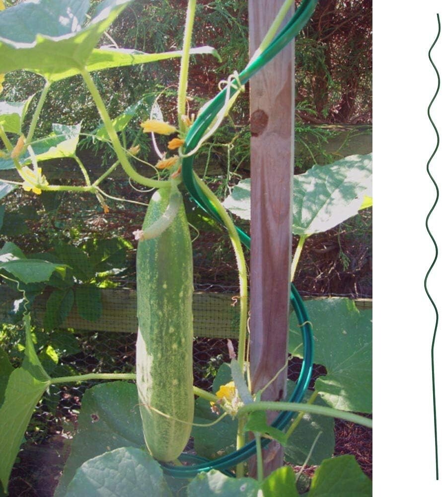 Durable 59-Inch Vinyl Coated Tomato Stakes - 10 Pack Climbing Plant Supports