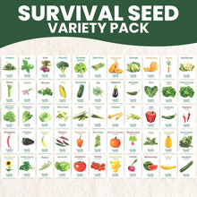 Load image into Gallery viewer, GMO-Free Survival Seed Vault: 55 Veggies, Herbs &amp; Fruits for Sustainable Living