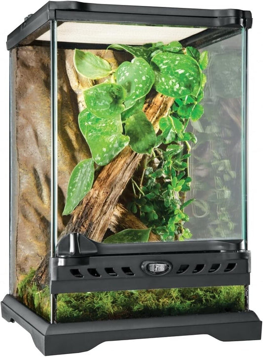 Elegant Nano Tall Reptile Terrarium - 8x8x12 Glass Habitat for Exotic Pets