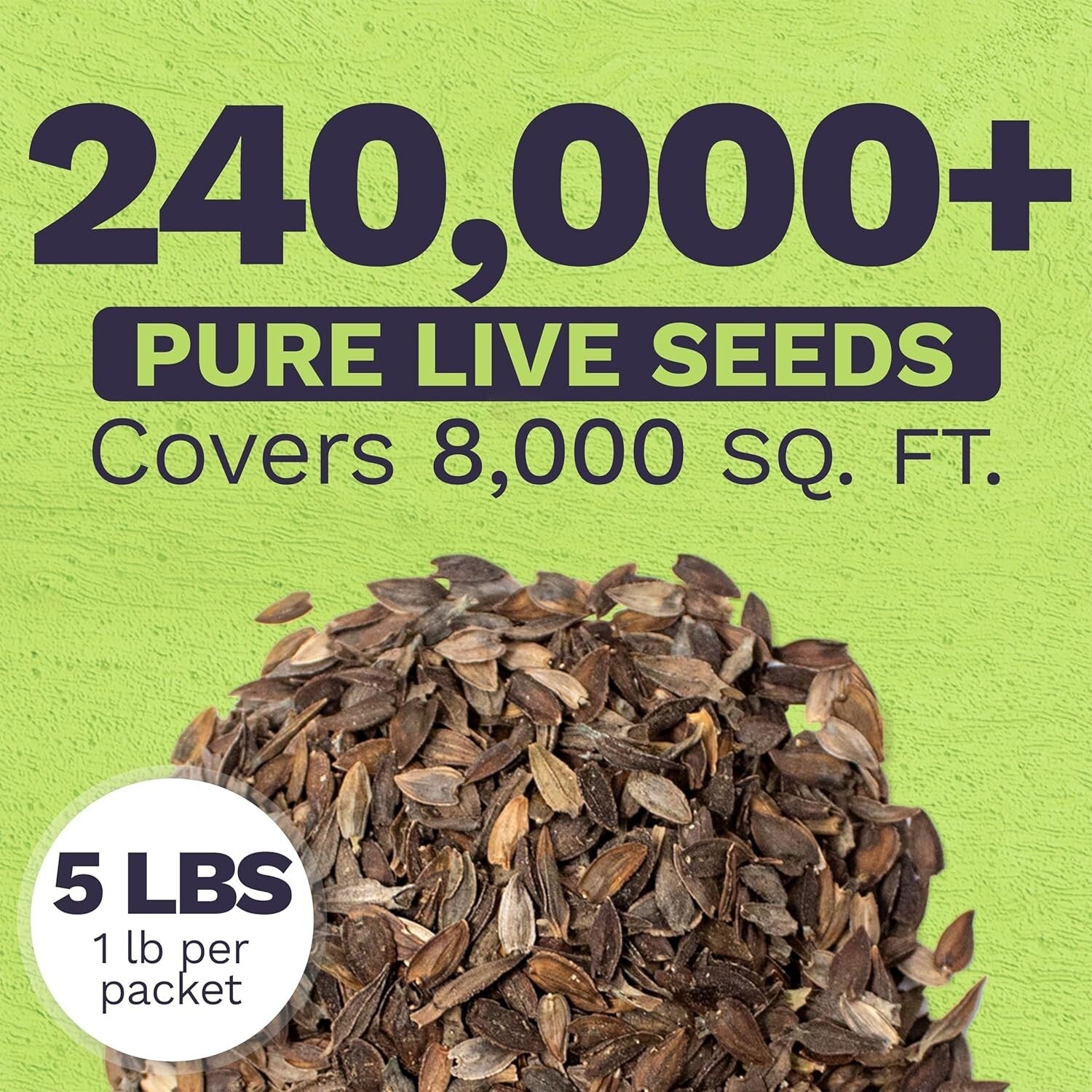 5 lbs of California Giants Zinnia Seeds - Over 240,000 Blooms Your Garden Needs