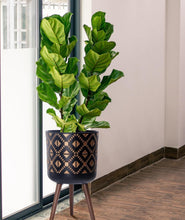 Load image into Gallery viewer, Stylish 12-Inch Fiberclay Planter Pot with Wooden Legs - Bronze/Black Finish