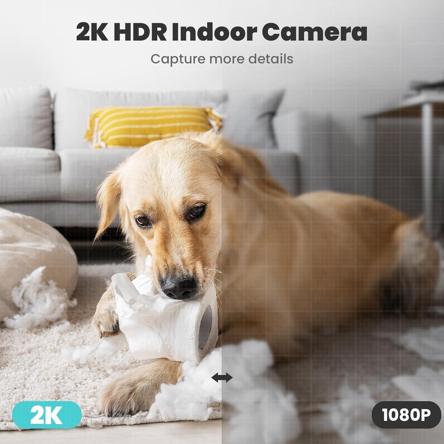 Wi-Fi Enabled 2K Indoor Camera - Pet & Baby Monitor with Night Vision - 2 Pack