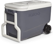 Load image into Gallery viewer, Portable Electric Cooler with Efficient Thermoelectric Technology - 35Qt