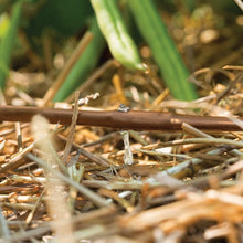Load image into Gallery viewer, Advanced Drip Irrigation Raised Bed Watering Kit with Pressure Regulator &amp; Timer