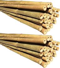 Load image into Gallery viewer, Versatile 50-Pack 6ft Bamboo Poles - Eco Support for Garden &amp; Craft Projects
