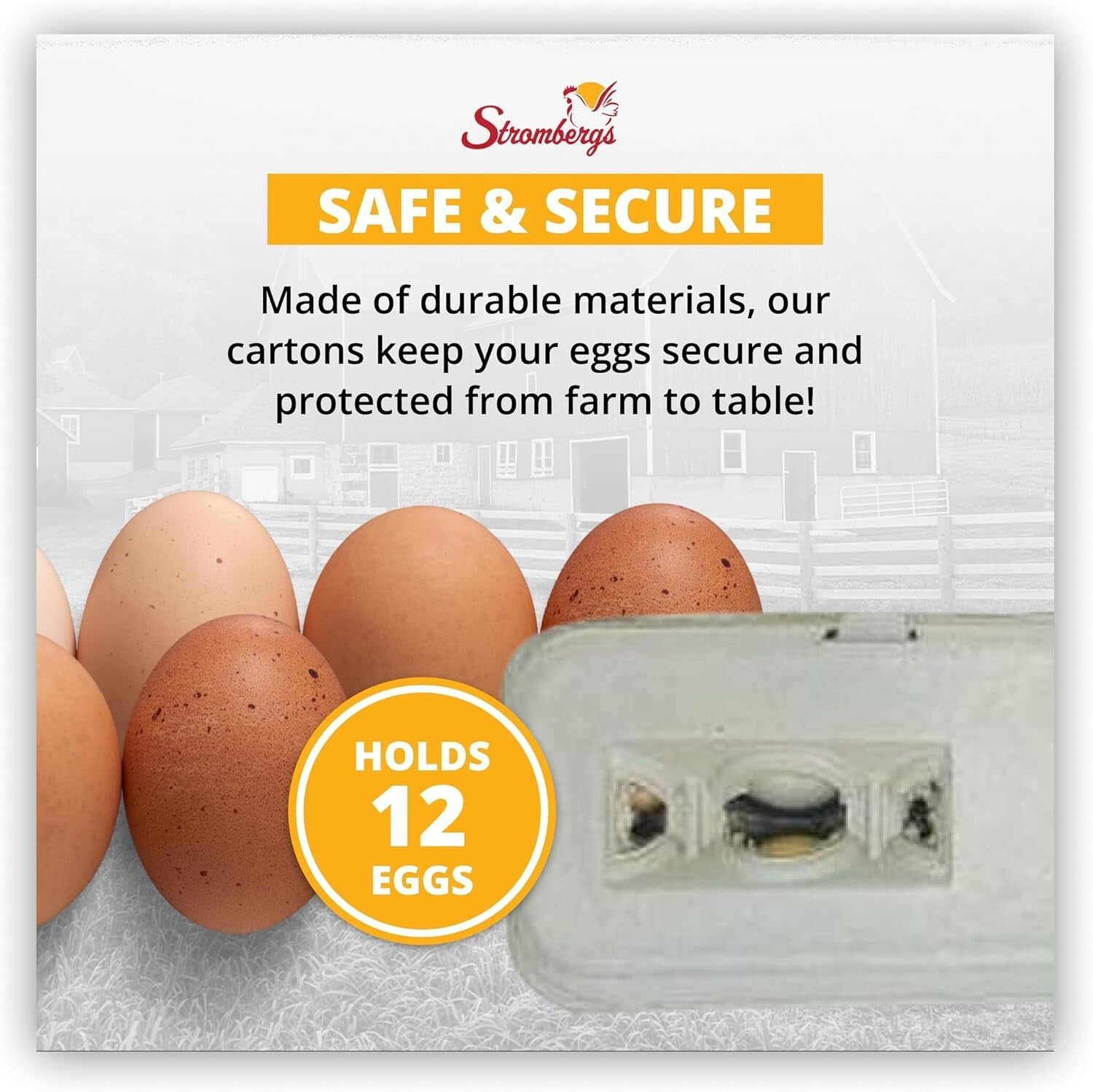 Large Capacity Egg Cartons - 250 Pack with Flip Top Closure, Ideal for Branding