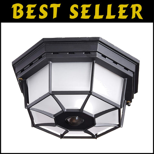 Flush Mount Black Ceiling Light, 30ft Motion Detection for Stylish Living Spaces