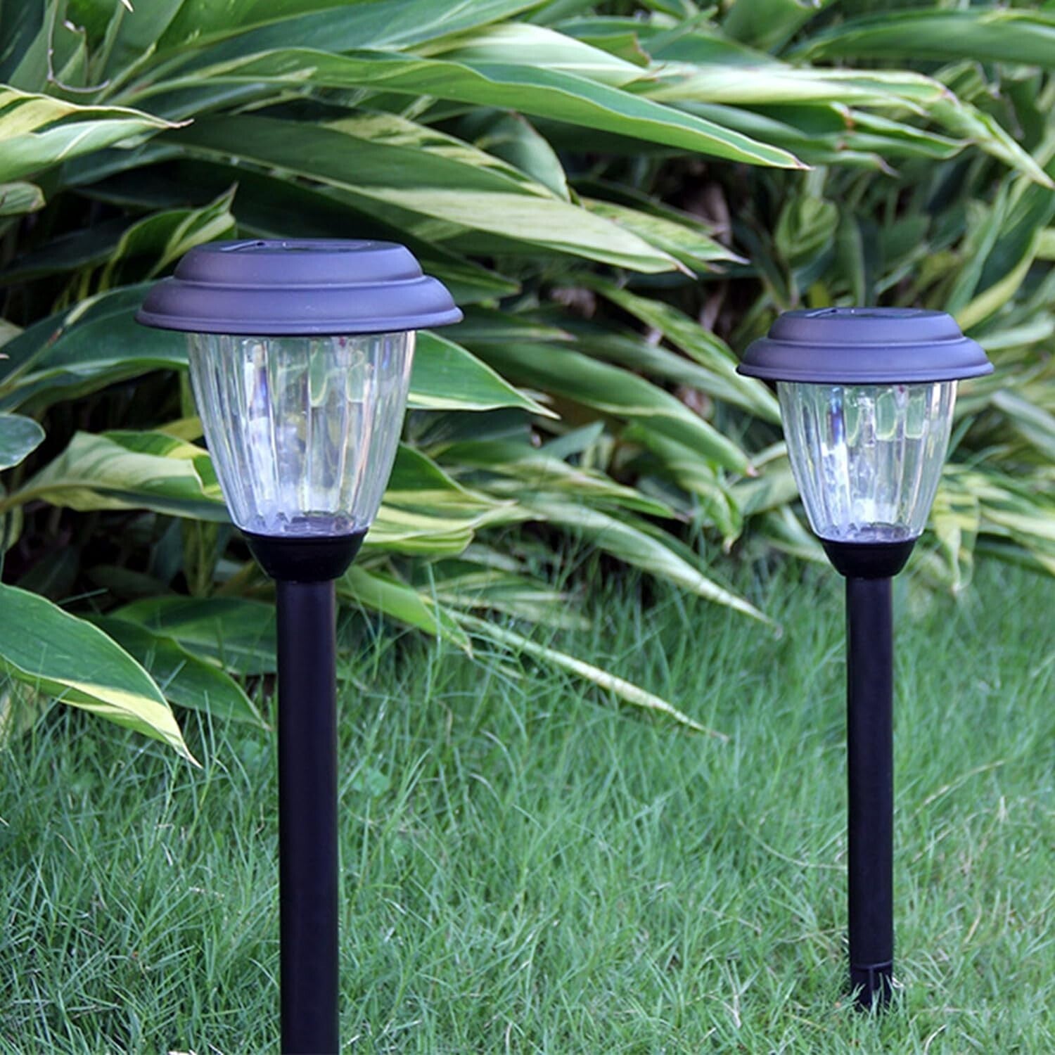 Elegant 8-Pack Solar Outdoor LED Pathway Lights in Matt Black Stainless Steel