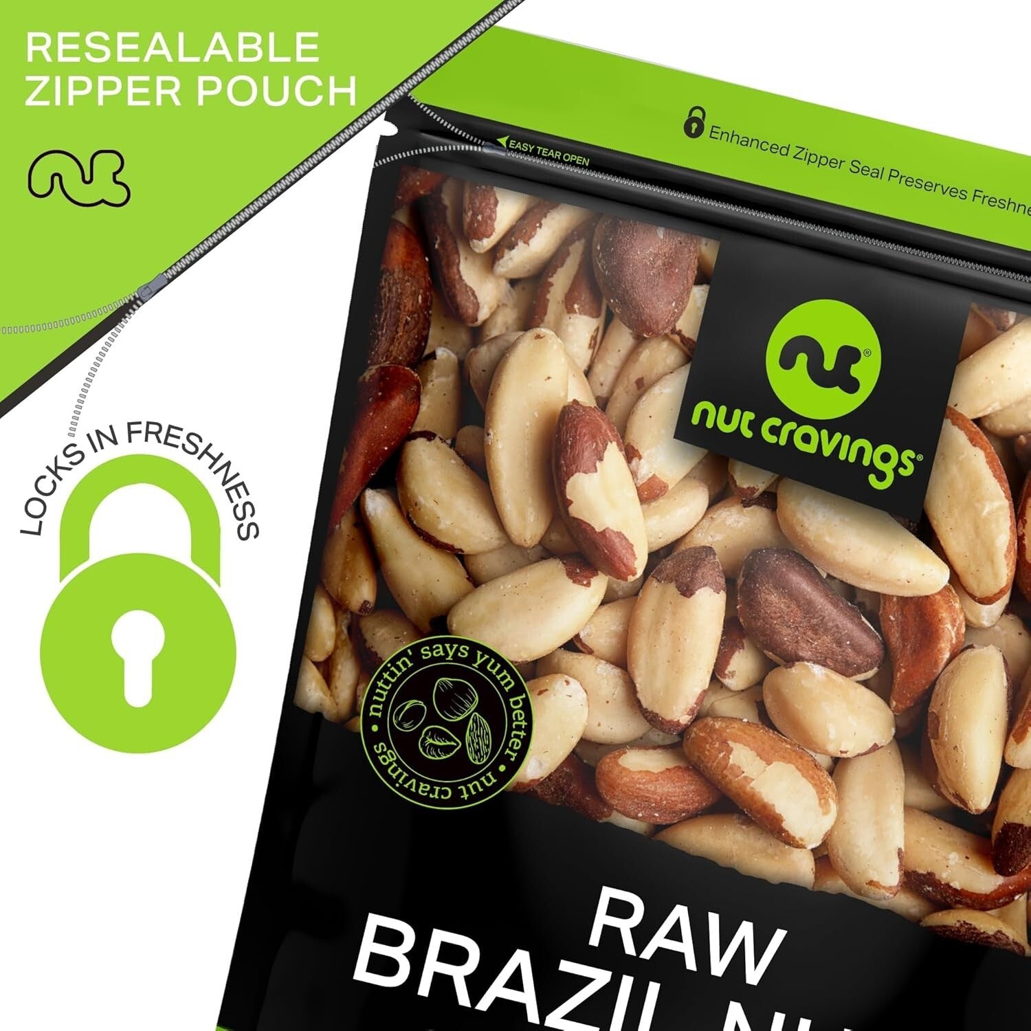 Freshly Handpicked Raw Brazil Nuts - Unsalted, Whole in 48oz Eco-Friendly Bag