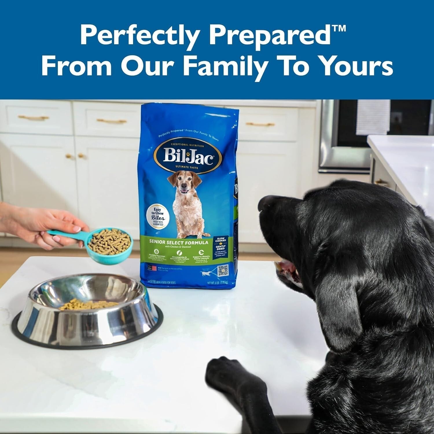 Bil Jac Senior Dog Food - 2-Pack of 6lb Chicken & Oatmeal, Super Premium Quality