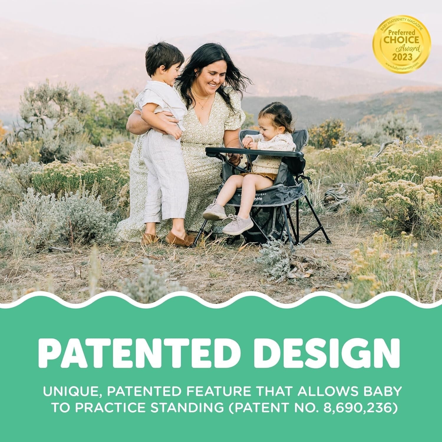 Go with Me Venture Portable Toddler Chair with Sun Canopy & Snack Tray - Grey