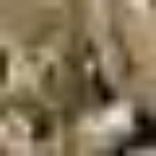 Load image into Gallery viewer, Spacious Military Assault Backpack: 50L Tactical Laptop Rucksack with Two Flags