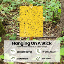 Load image into Gallery viewer, Premium 250 Pcs Yellow Sticky Traps for Gnats - Easy Setup for Pest-Free Plants