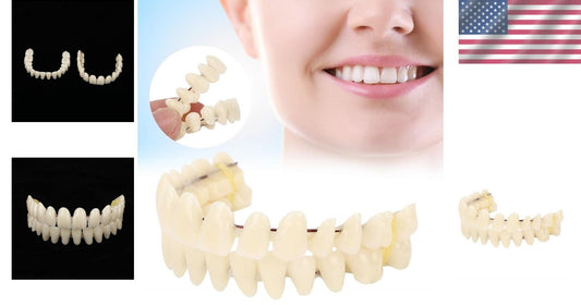 Customizable Teaching Model Set of 280 Resin Dentures for Dentistry Students