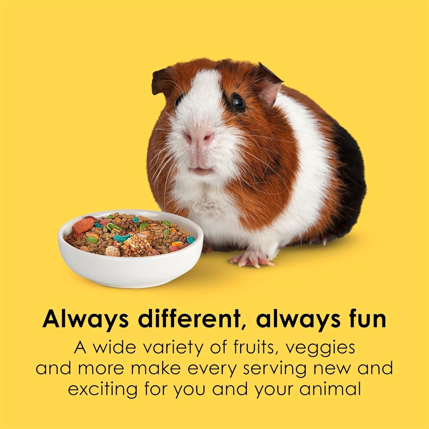 Fiesta Guinea Pig Food, Nutrient-Rich 25 lbs Blend for Dental Health & Digestion