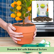 Load image into Gallery viewer, Nutrient-Rich 30 Quart Potting Mix for Potted Citrus Plants - Indoor/Outdoor