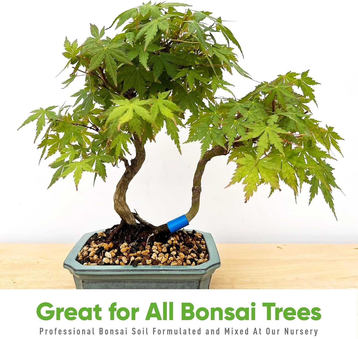 2.5 Gallons All-Purpose Bonsai Soil - Draining and Moisture Retaining Mix