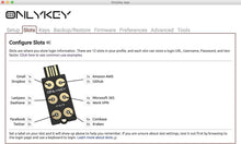 Load image into Gallery viewer, All-in-One Encryption Device: FIDO2 Key, Password Manager, &amp; Secure Access Token