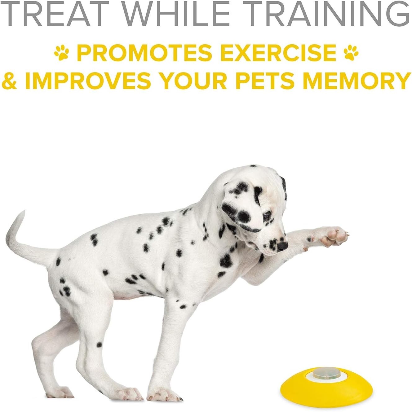 Interactive Dog Treat Dispenser with Remote - Engaging Memory Training Toy