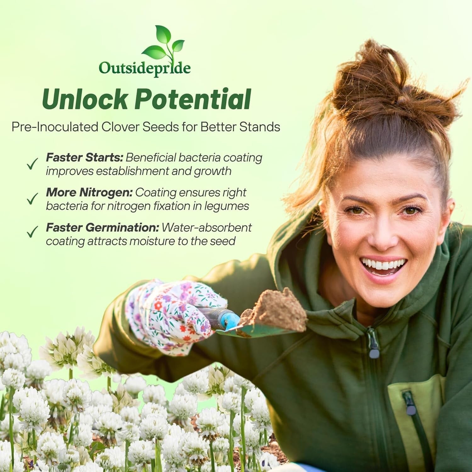 5 lbs. Nitrocoated Perennial White Ladino Clover Seeds - Drought-Tolerant Forage