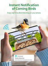 Load image into Gallery viewer, Dual-Bin Bird Feeder with Camera - Solar Powered, Weather Resistant, DIY Options