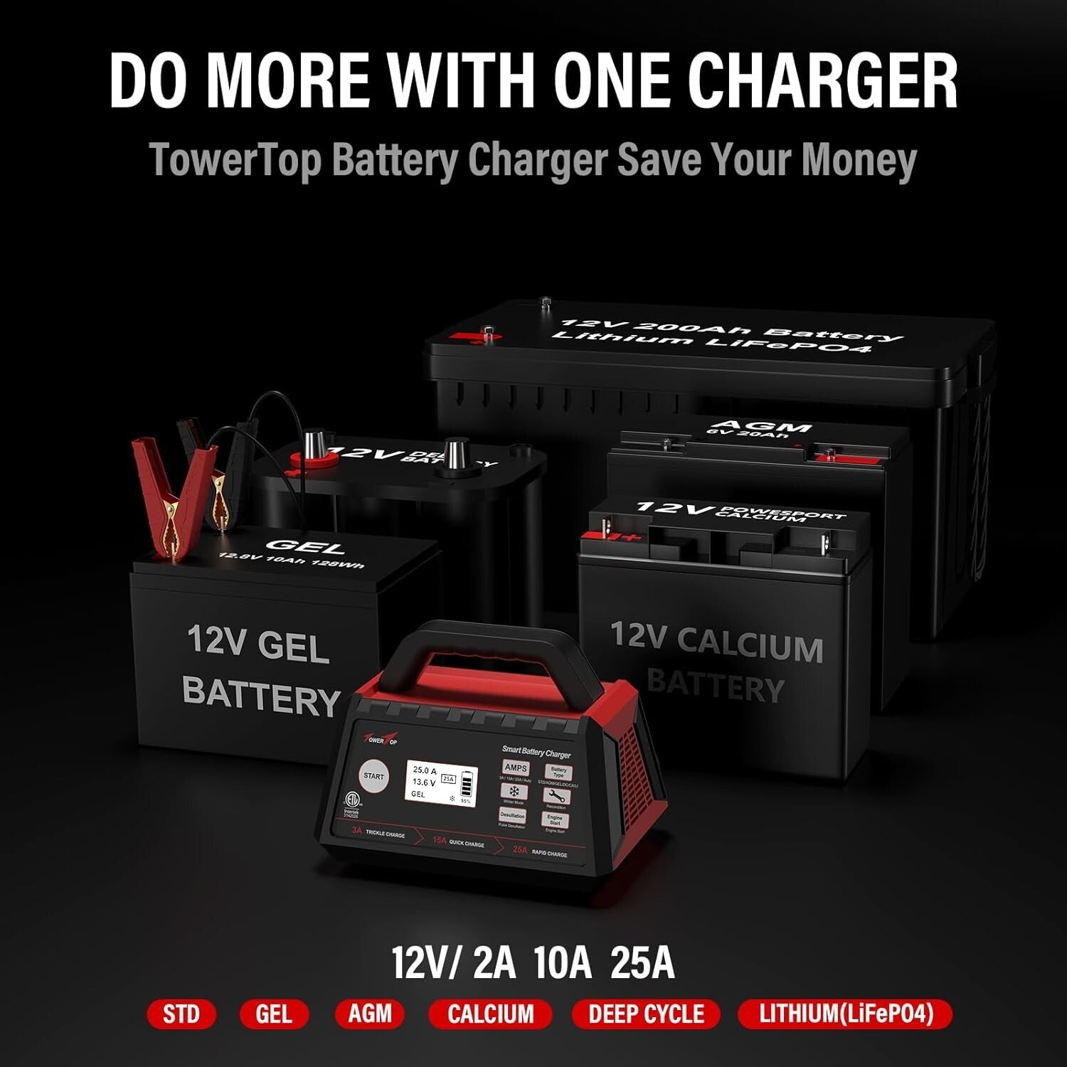 Intelligent Car Battery Maintainer with Advanced Repair Mode & ETL Certification