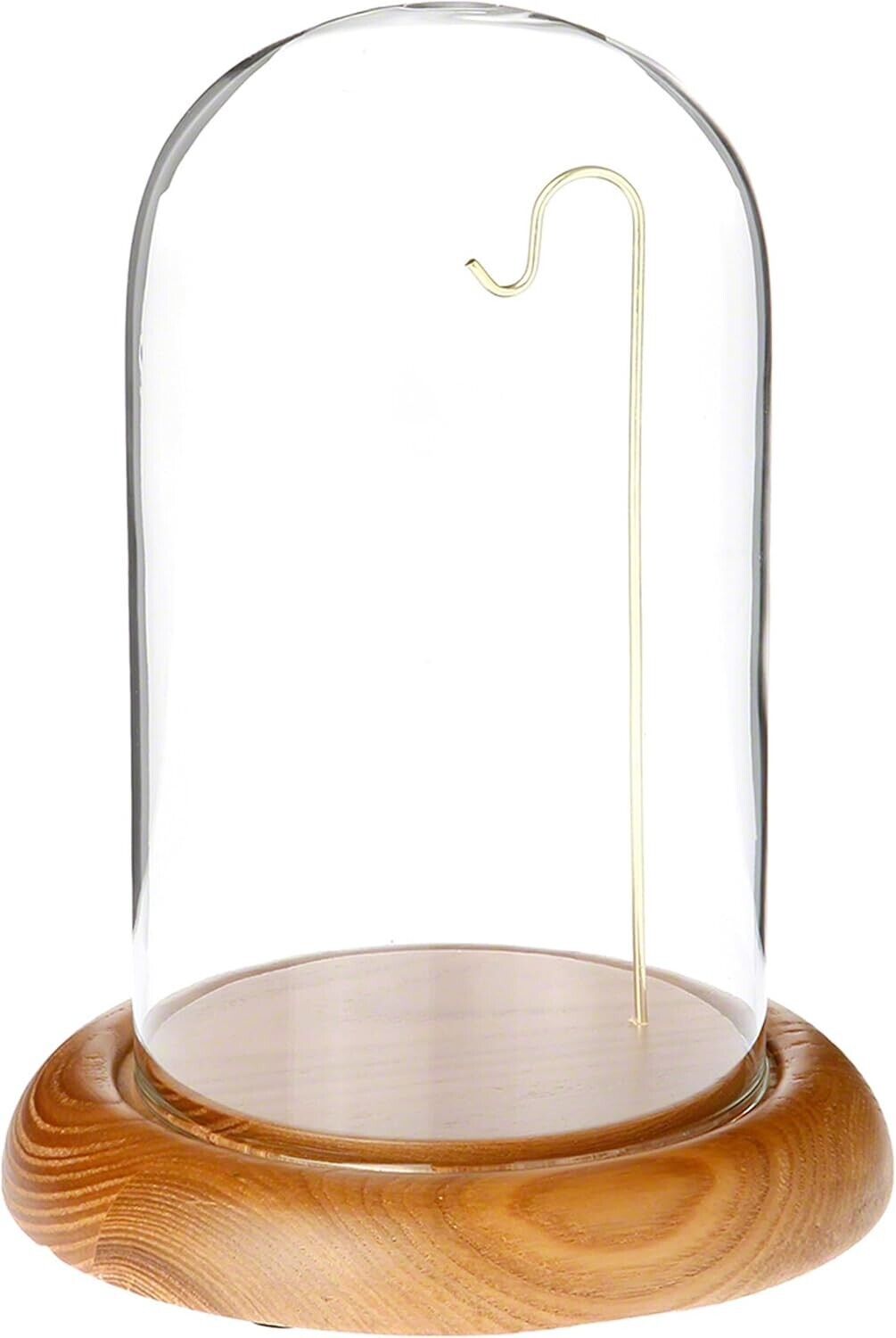 Elegant 4" x 7" Handcrafted Glass Display Dome with Oak Base & Brass Wire