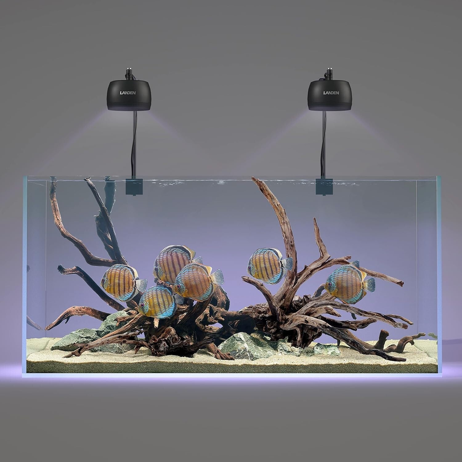 Fine Grain Natural River Sand for Freshwater & Blackwater Biotope Tanks - 44 lbs