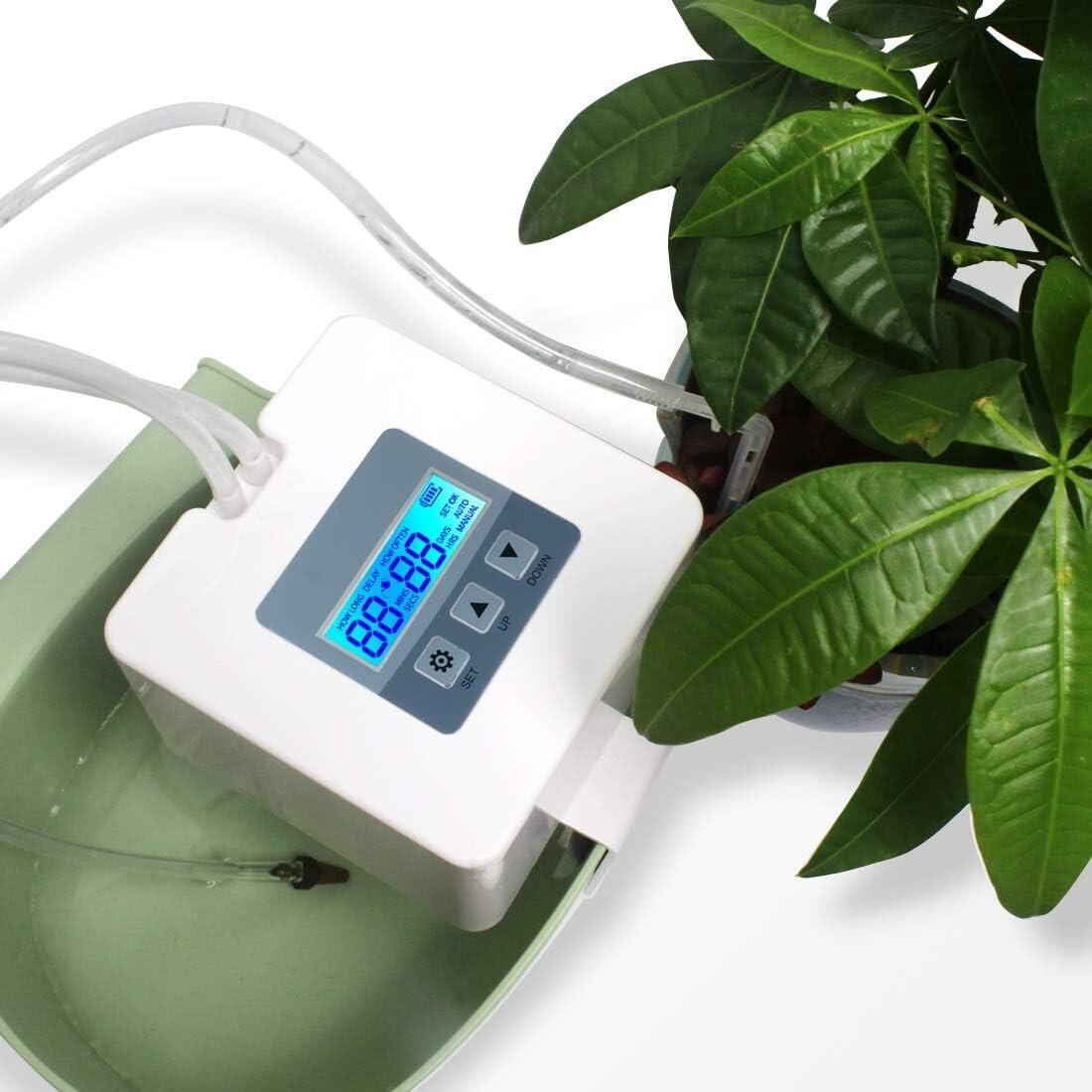 Compact USB and Battery-Powered Plant Watering System with Digital Timer