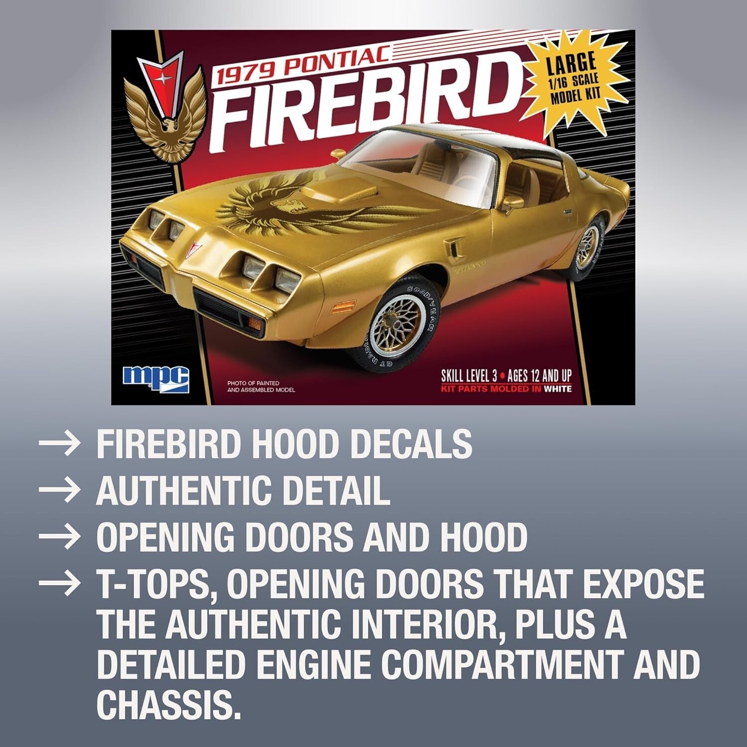 Authentic 1:16 Scale Pontiac Firebird Model Kit – Customizable & Detailed Design