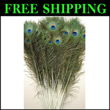 Load image into Gallery viewer, Vibrant 25 Pcs Peacock Feathers 45"-50" - Perfect for Crafting and Events