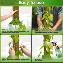 Load image into Gallery viewer, 59'' D-Shape Moss Pole for Climbing Plants - Durable Indoor Plant Support