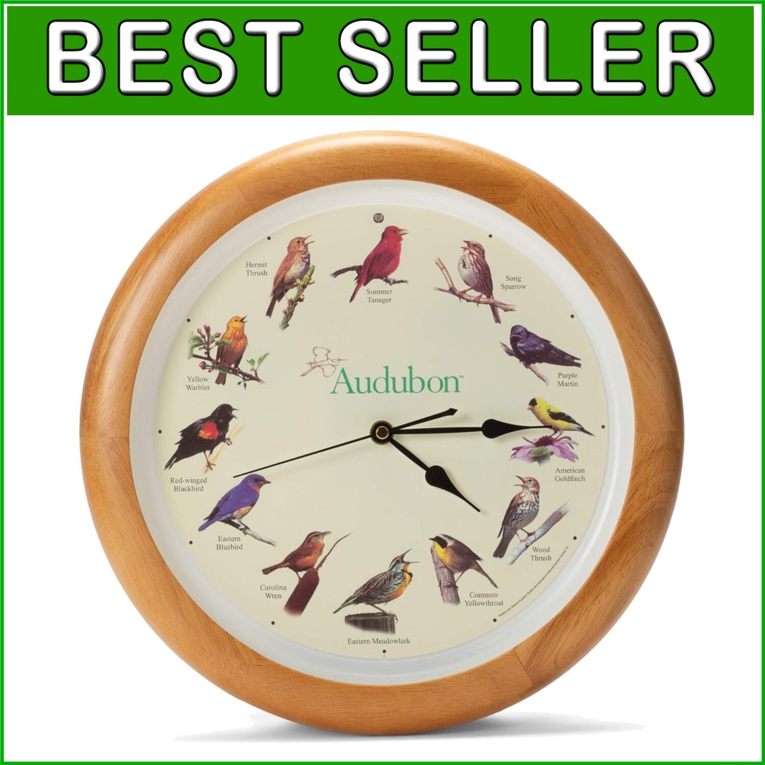 Educational Singing Bird Wall Clock with Light Sensor - 13 Inch Oak Frame